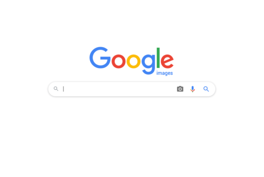 Reverse Image Search