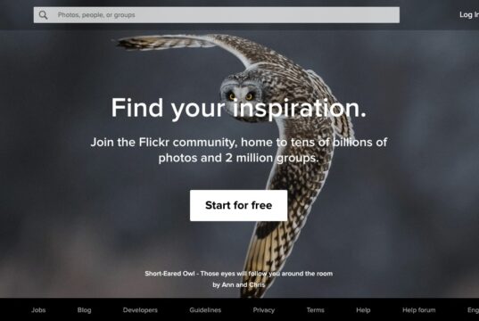 What is Flickr Social Media