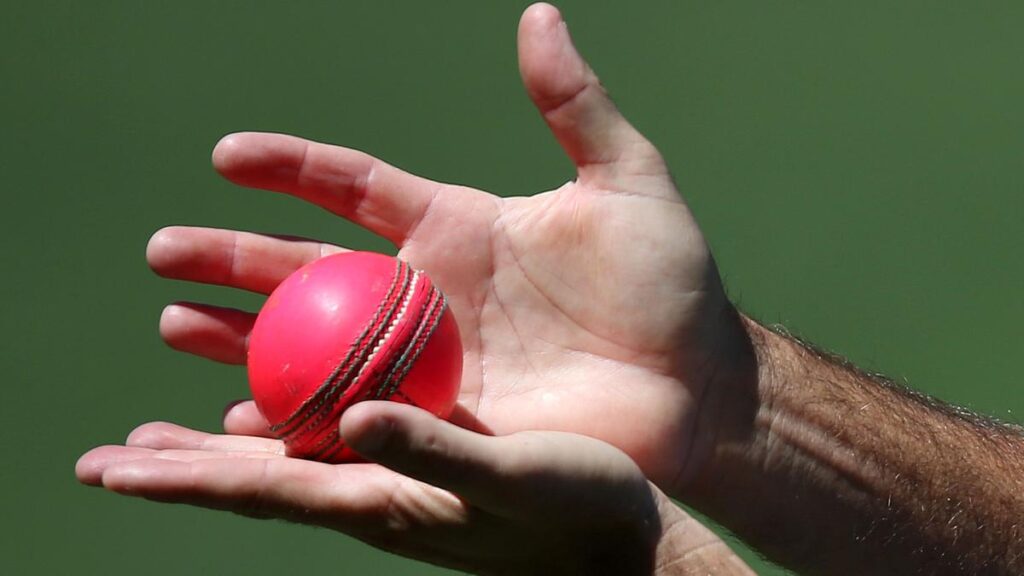 Cricket Tips - Batting and Fielding - G For Games