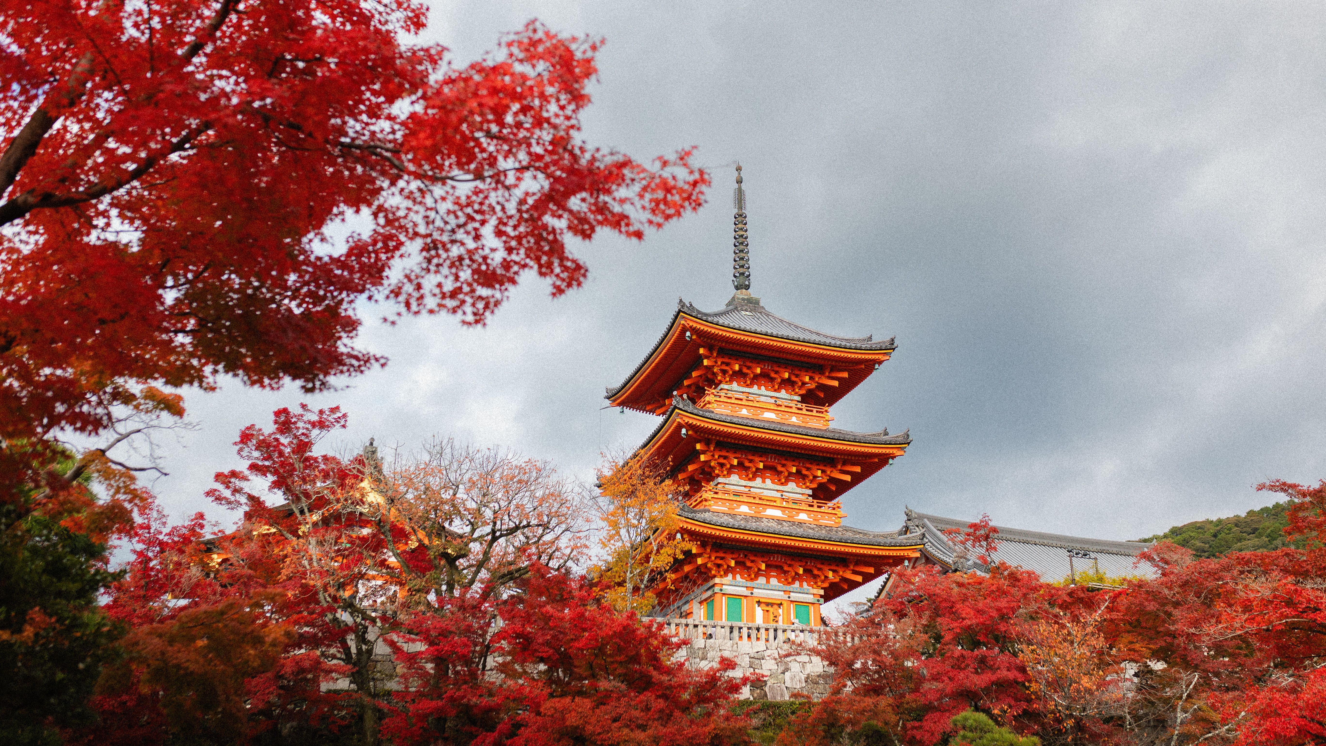 Kiyomizu-dera temple surrounded by vibrant autumn foliage in Japan